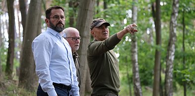 Jest pomysł: platforma z widokiem na trzcinowiska i młyński staw-42753