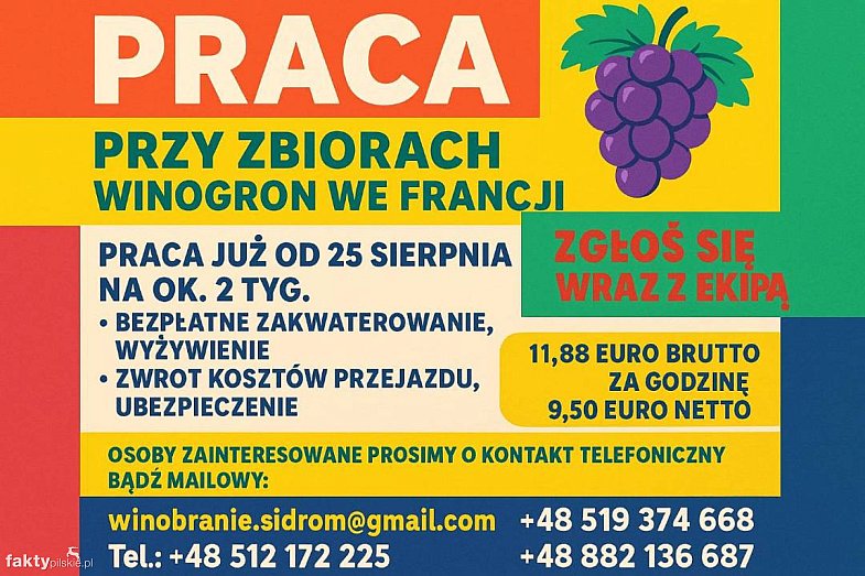 zdjecie ogloszenia