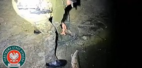 Kłusował nocą na jeziorze Kopcze. Wyciągnął 40 kg ryb!
