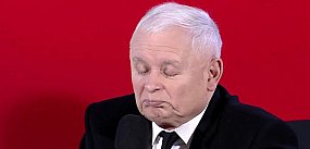 "Fiutki", "muszelki" - obsesja polityków PiS