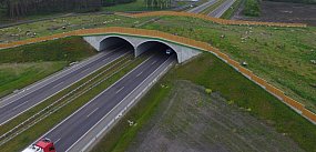 S11 Oborniki-Poznań - grunt po badaniach geologicznych