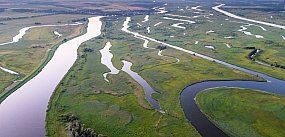 Park, którego nie będzie…