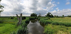 Co dalej z nowym parkiem narodowym?