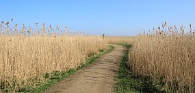Rozdysponowano pieniądze na drogi do gruntów rolnych