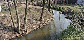 W Białośliwiu posprzątają nie tylko Białośliwkę