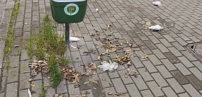 Tak ktoś pozbywa się obierek po ziemniakach