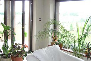 Dlaczego wymiana okien to inwestycja w komfort i oszczę - 43096