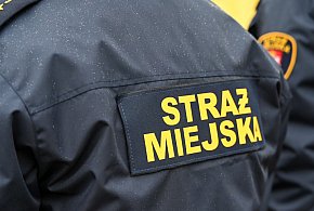 Zapuka strażnik, zapłacisz karę. Ruszyły kontrole w całej Polsce-43902