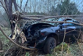 Wypadek w Nadolniku. Kierowca ranny, drzewo do wycięcia-44474