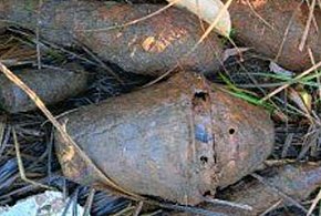 Granaty w lesie-44684