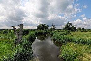 Co dalej z nowym parkiem narodowym? Minister klimatu zdradza plan po wecie-44715