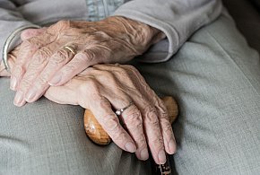 Te osoby dostaną dwie emerytury w grudniu. ZUS przesuwa przelewy-45048