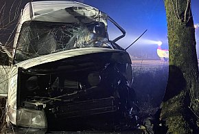 Wjechał w drzewo-45369