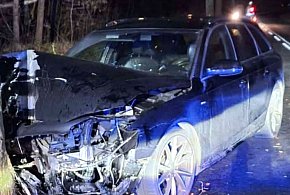 Wjechał w drzewo-45609