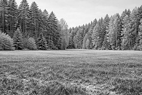 Tragiczny finał poszukiwań mieszkańca Kaczor-46063