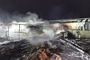 Walczyli z ogniem 5 godzin. Pożar obory w Topoli-46147