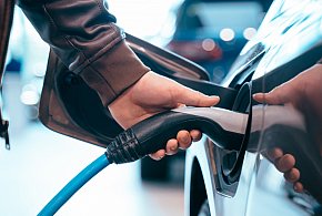 Coraz częściej dochodzi do takich kradzieży. Powody zaskakują-46389