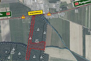 Uwaga! Prace leśne w leśnictwie Mościska