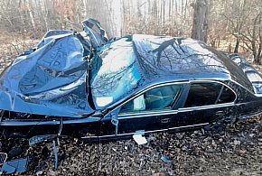 Kierowca BMW zakończył jazdę na drzewie