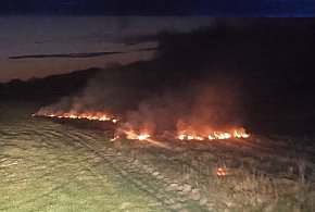 Alarm nad ranem. Płonęły trawy