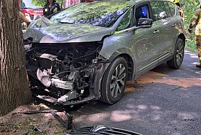 Zjechał z drogi - wjechał w drzewo