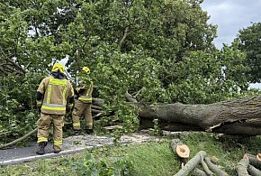 Szamocin: Potężne drzewo zatarasowało drogę nr 190