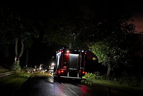 Zderzył się z powalonym na drogę drzewem
