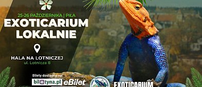 Targi Terrarystyczne Exoticarium Lokalnie-3950