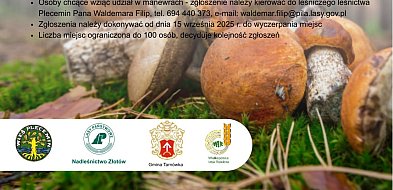 W sobotę "Manewry grzybowe" w Pleceminie-43197