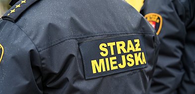 Zapuka strażnik, zapłacisz karę. Ruszyły kontrole w całej Polsce-43902