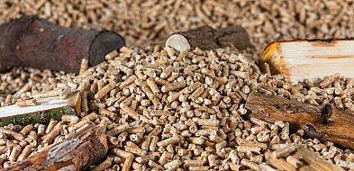 Drożeje popularny opał. Miliony Polaków dostaną po kieszeni tej zimy-44393