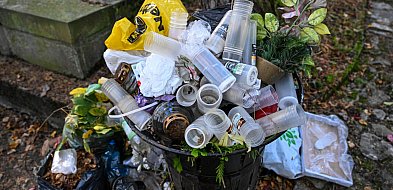 Cmentarze po Wszystkich Świętych toną w śmieciach. „Świadomość ekologiczna wciąż..-44422