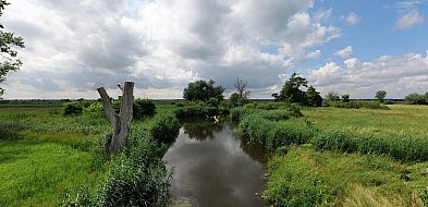 Co dalej z nowym parkiem narodowym? Minister klimatu zdradza plan po wecie-44715