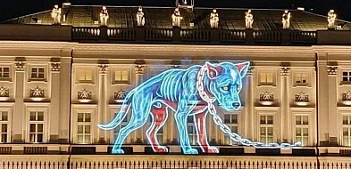 Psie kawalerki Nawrockiego-45309