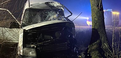 Wjechał w drzewo-45369