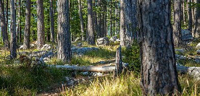 5 miejsc, które musisz odwiedzić, gdy będziesz w Wągrowcu-45390