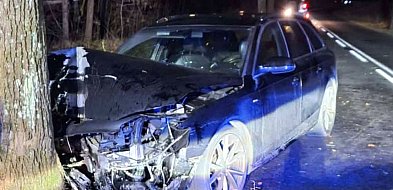 Wjechał w drzewo-45609