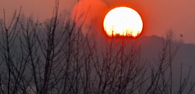 Wystawa fotografii Karoliny Łuszczewskiej w Labiryncie