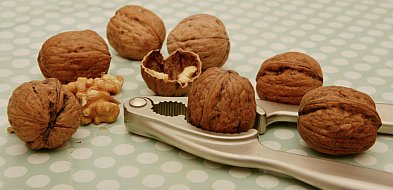 Groźny pestycyd w popularnych orzechach. Trwa wycofywanie ze sklepów