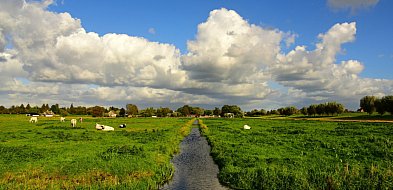 2,5 mln zł na spółki wodne w Wielkopolsce
