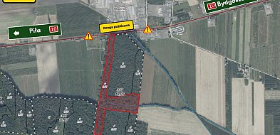 Uwaga! Prace leśne w leśnictwie Mościska