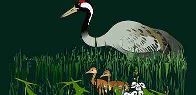 Zwierzęta z ceramiki i w użytkowej grafice