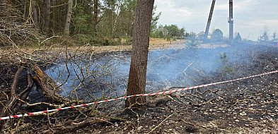 Drzewo przewróciło się na linię energetyczną