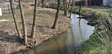 W Białośliwiu posprzątają nie tylko Białośliwkę