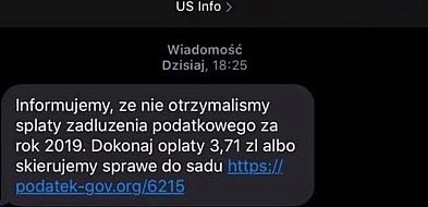 Badanie: co 5 ankietowany zetknął się z fałszywą wiadomością, udającą skarbówkę lu