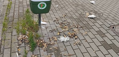 W końcu same zgniją? Tak ktoś pozbywa się obierek po ziemniakach