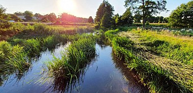 Lato, czyli letni kalejdoskop wyrzyskich wspomnień