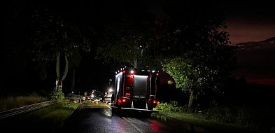 Zderzył się z powalonym na drogę drzewem