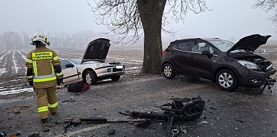 Wciąż ślisko! Kolizja koło Falmierowa