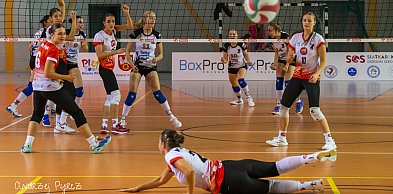 Volley Piła zagra bez trenera i siedmiu zawodniczek. Co się stało?